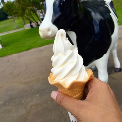 大山まきば みるくの里