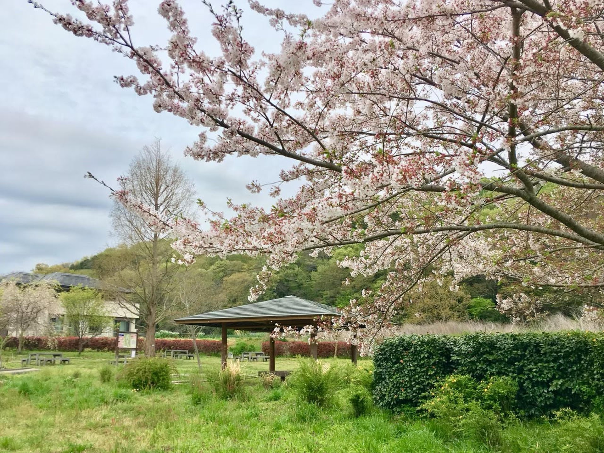 ラディアン花の丘公園