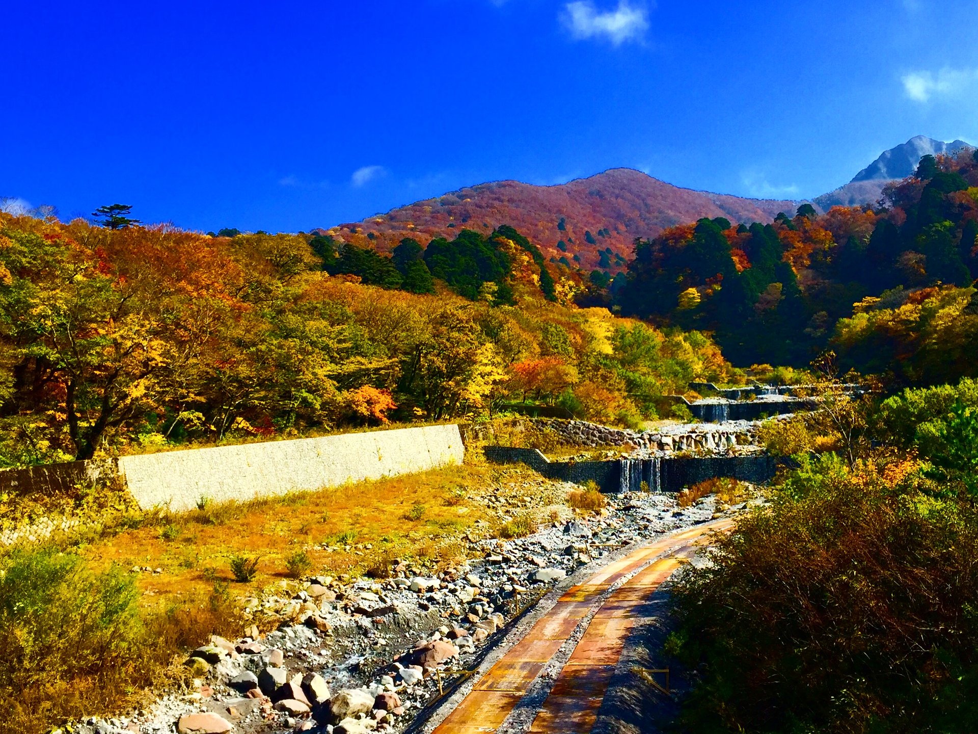 南光河原