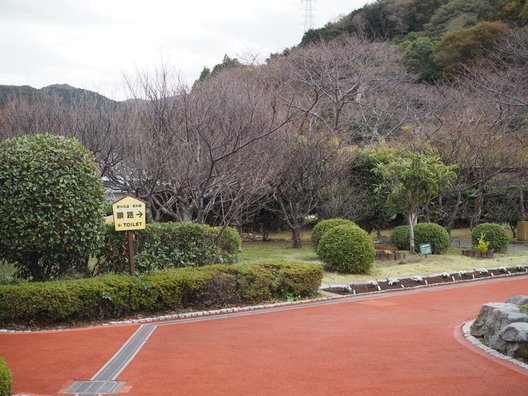 西伊豆 土肥金山（といきんざん）