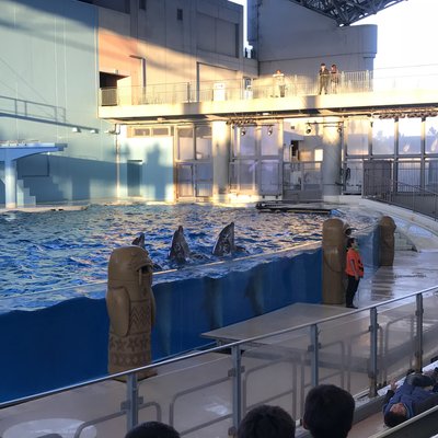 横浜 八景島シーパラダイスアクアミュージアム