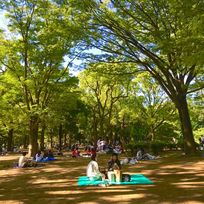 代々木公園