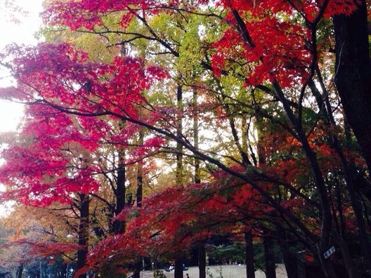 蚕糸の森公園