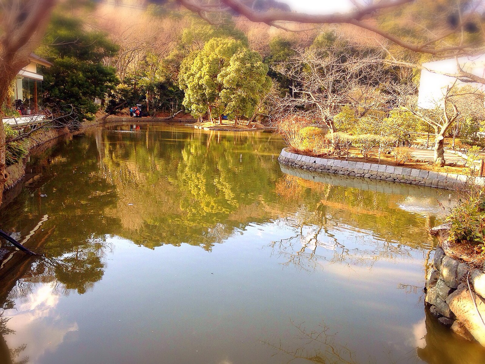 鶴岡八幡宮