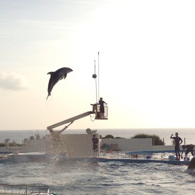 沖縄美ら海水族館