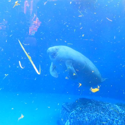 鳥羽水族館