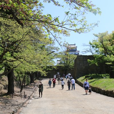 鶴ヶ城(若松城)