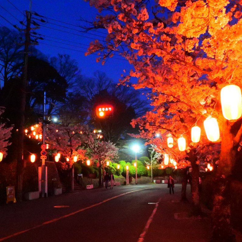 五月山公園