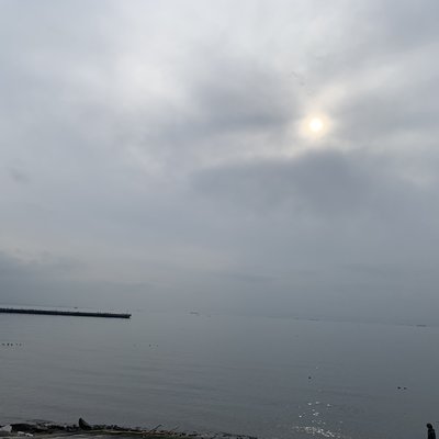 海浜公園