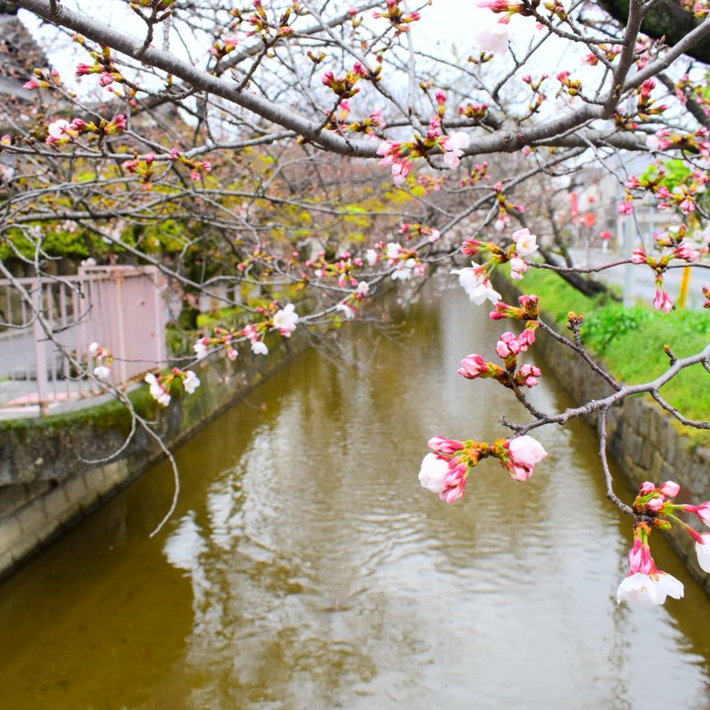 玉串川