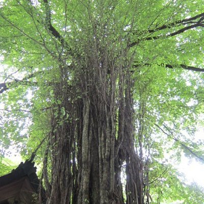 貴船神社