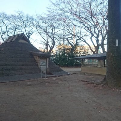 和田堀公園