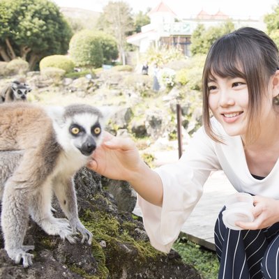 伊豆シャボテン動物公園