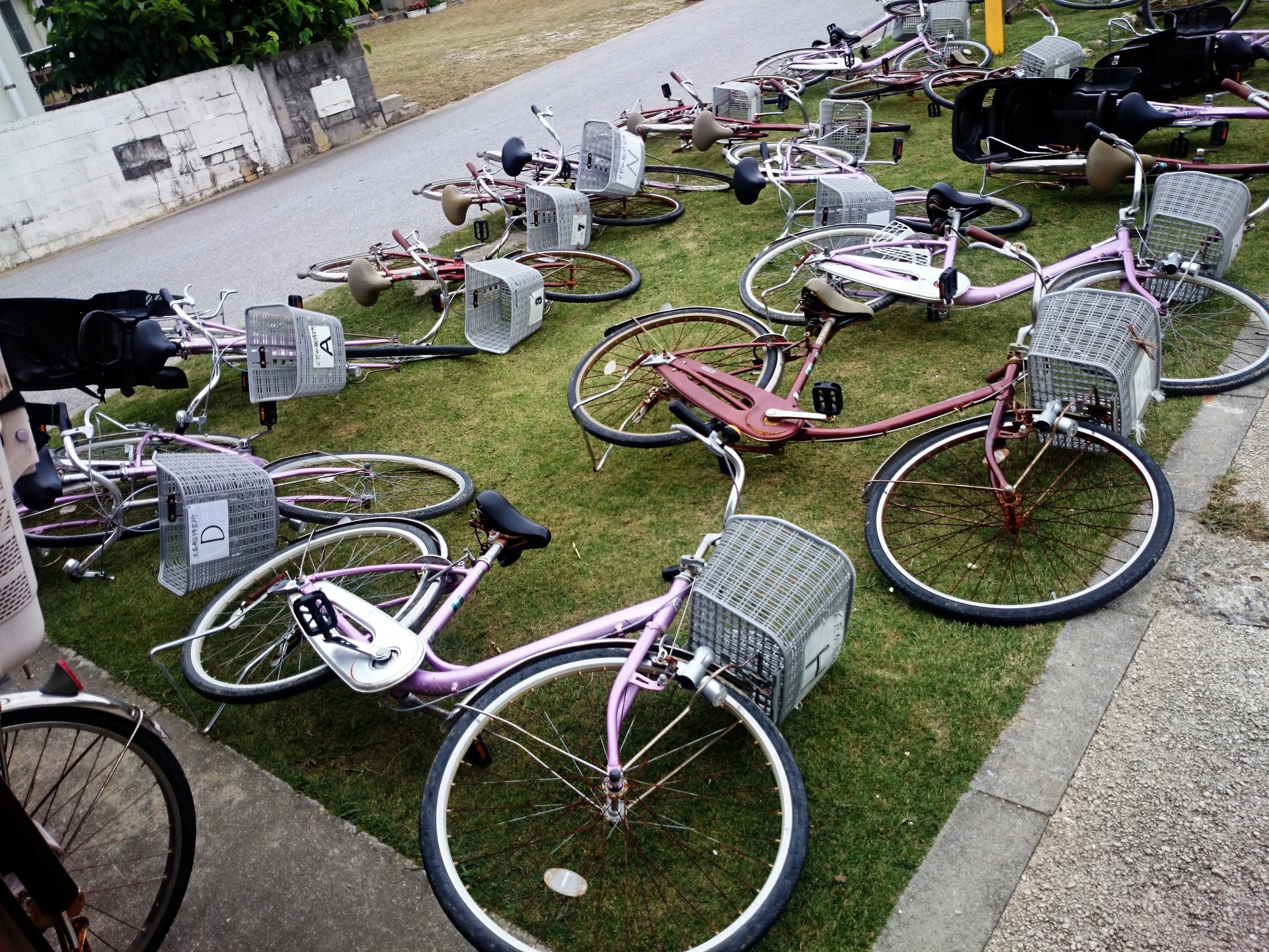 沖縄久高島観光のおすすめ自転車レンタル。1時間300円の安くてきれいなお店はここ！