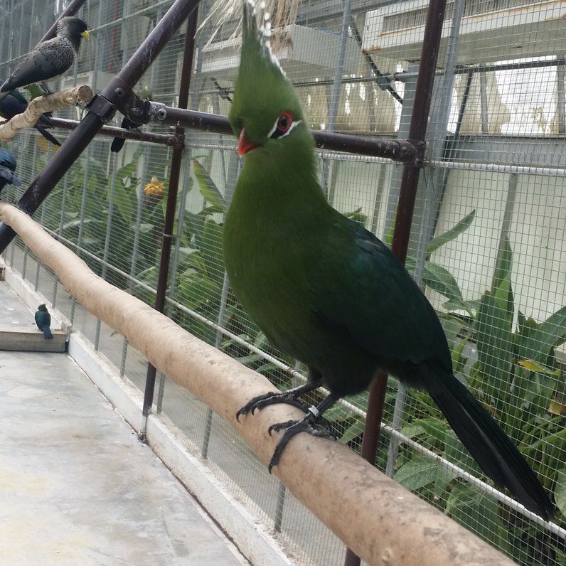 掛川花鳥園