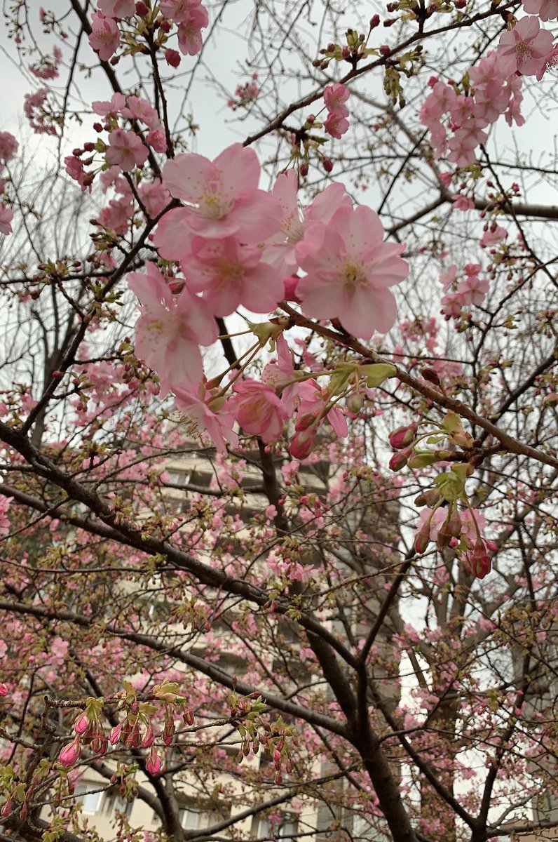 白金台どんぐり児童遊園