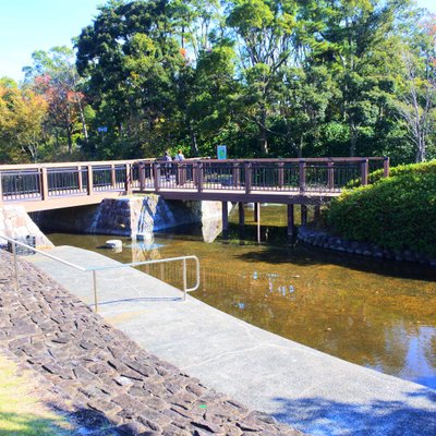 安城産業文化公園デンパーク