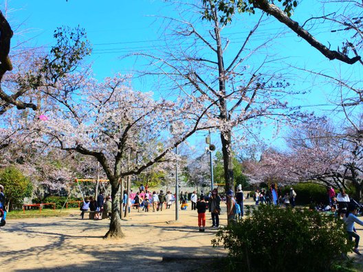 郡山城跡