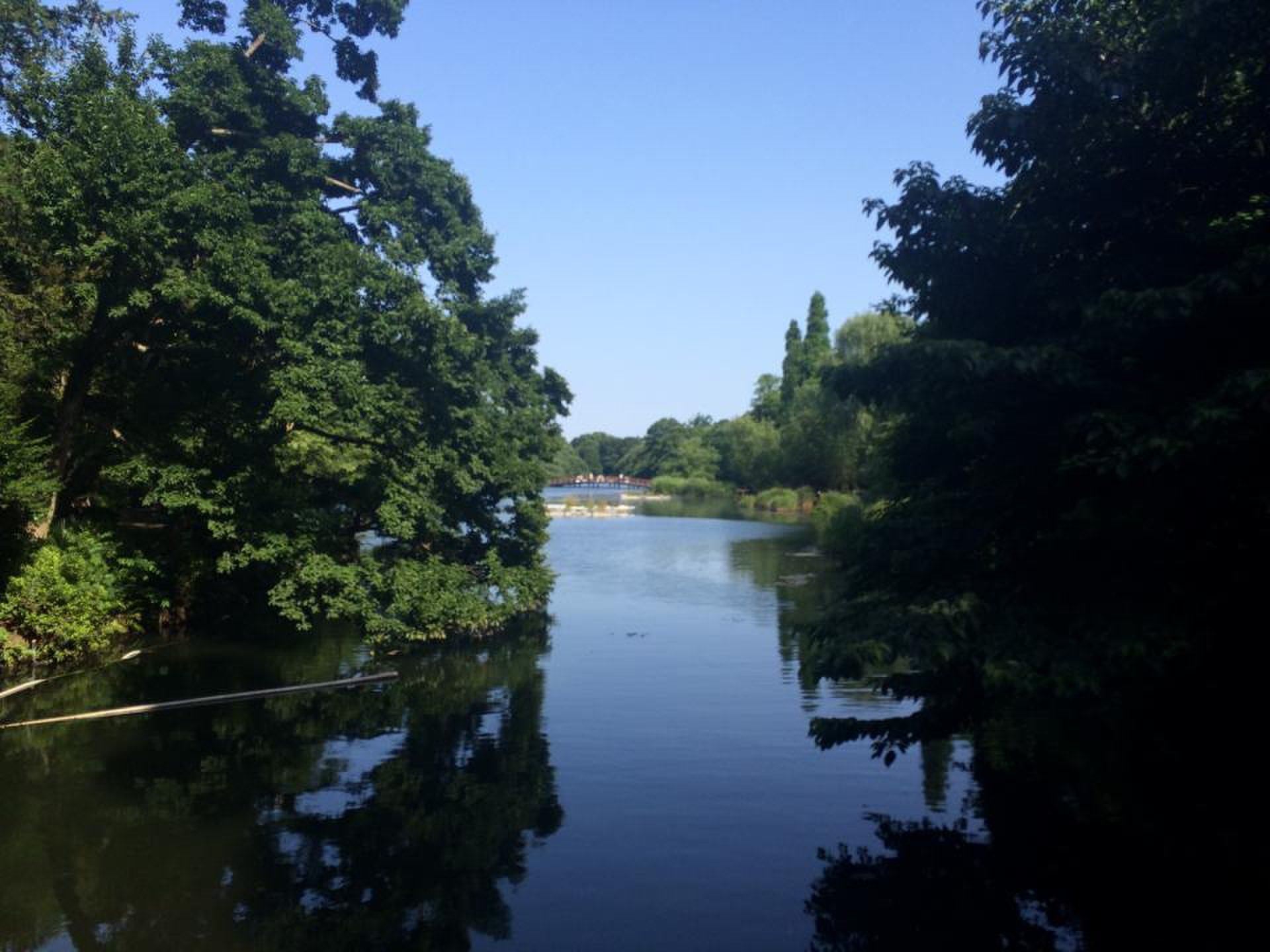 晴れた日は都内でも自然を満喫☆井の頭公園でゆったりと過ごす&大人気ジブリの森美術館を満喫する☆