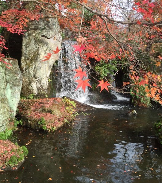 耶馬渓ダム記念公園 渓石園