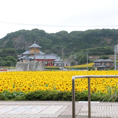 満願寺