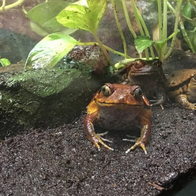 サンシャイン水族館