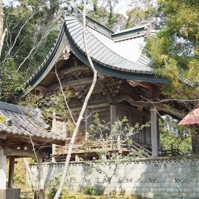 橘樹神社