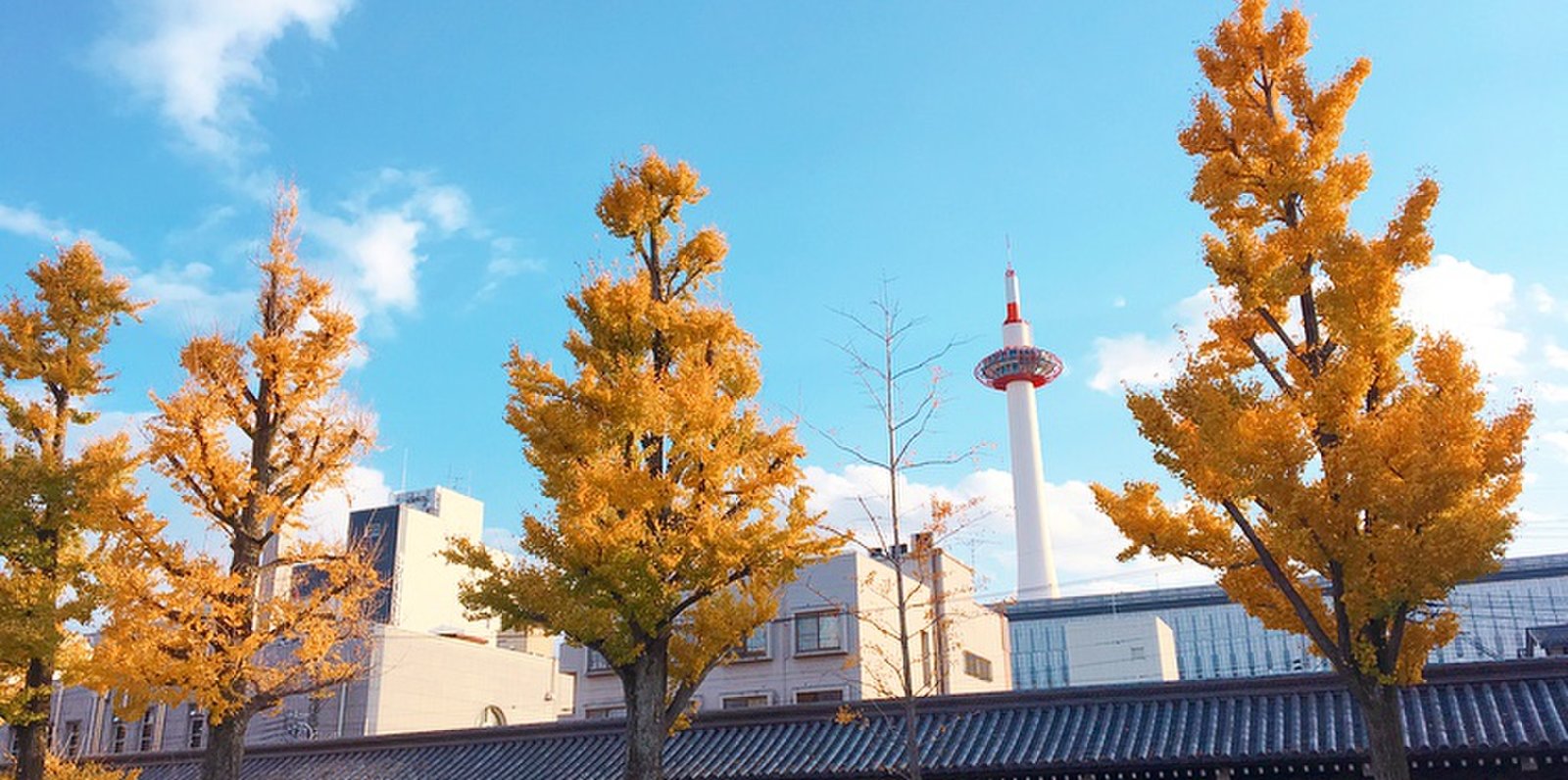 東本願寺 御影堂