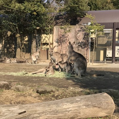 金沢動物園