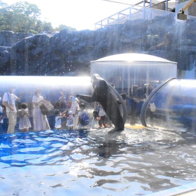 鳥羽水族館