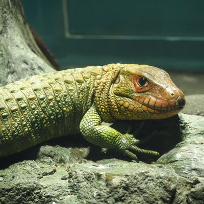 サンシャイン水族館