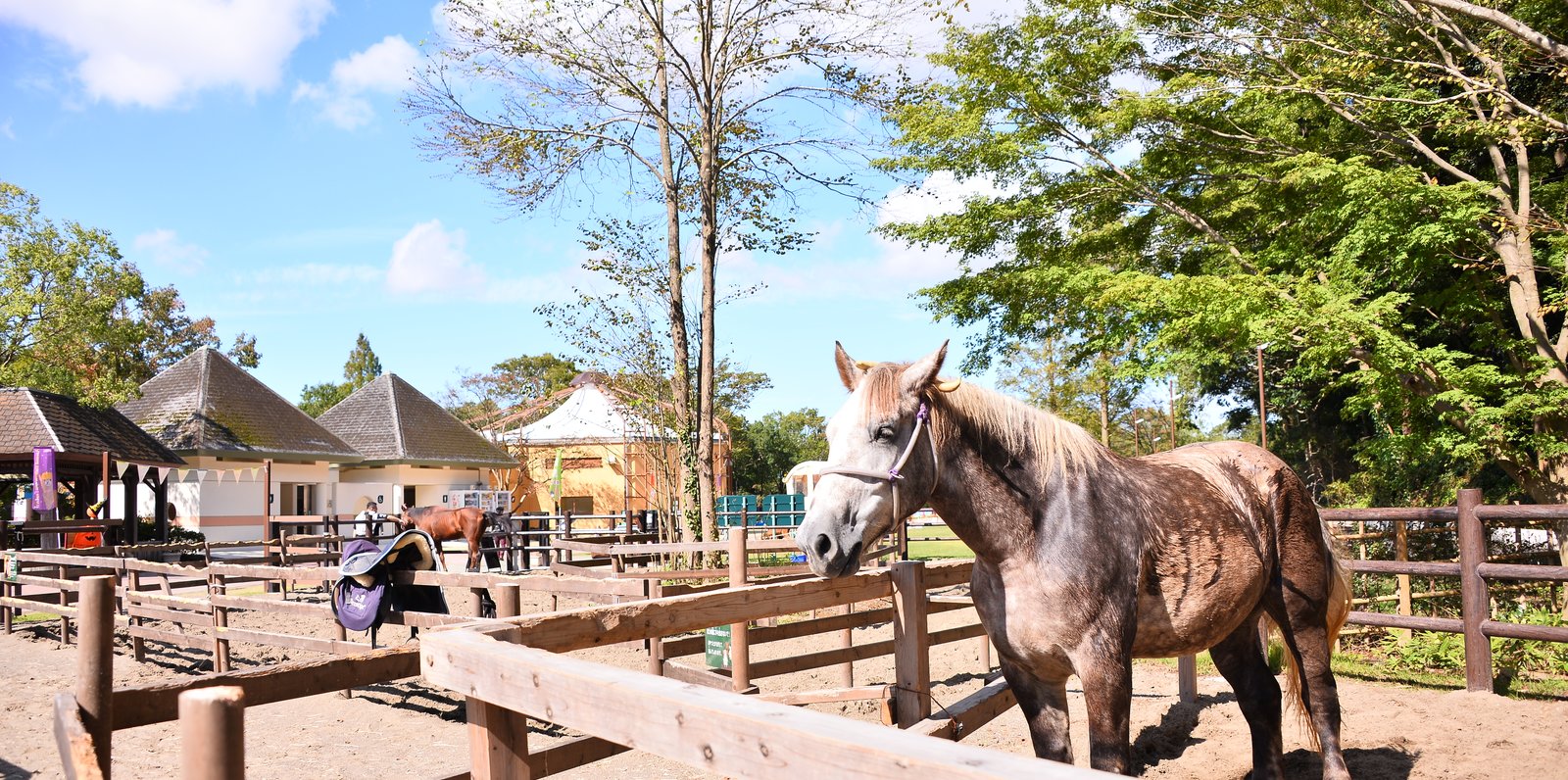 千葉市動物公園