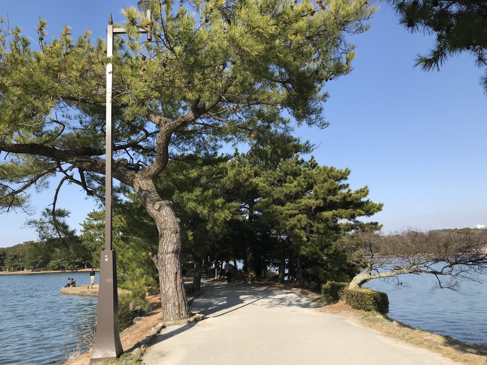 まったりしたいカップルに最適なスポット♡
自然を楽しめる大濠公園へ行ってみた