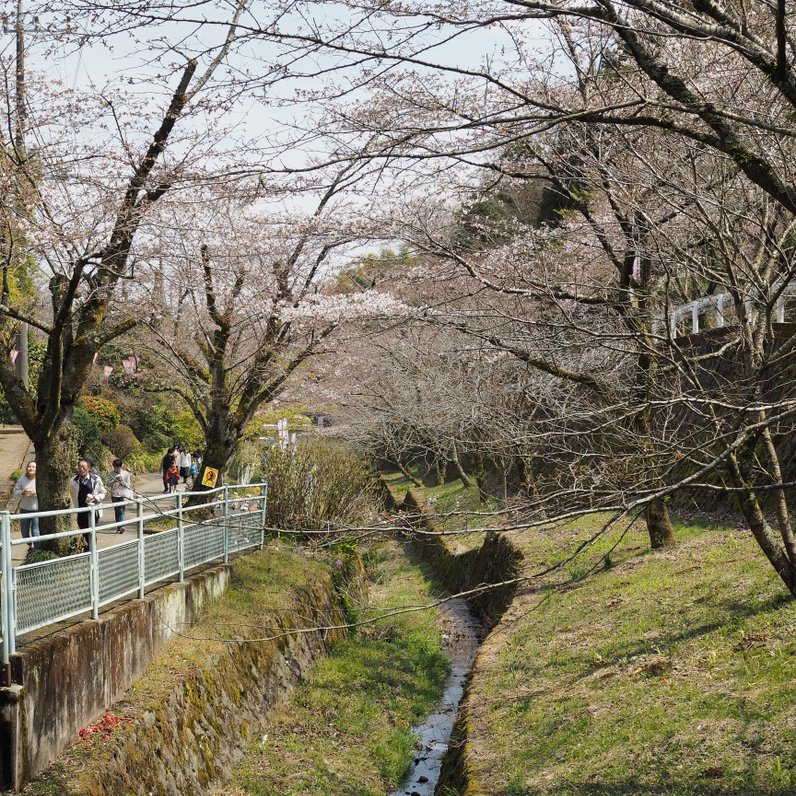 飯山白山森林公園