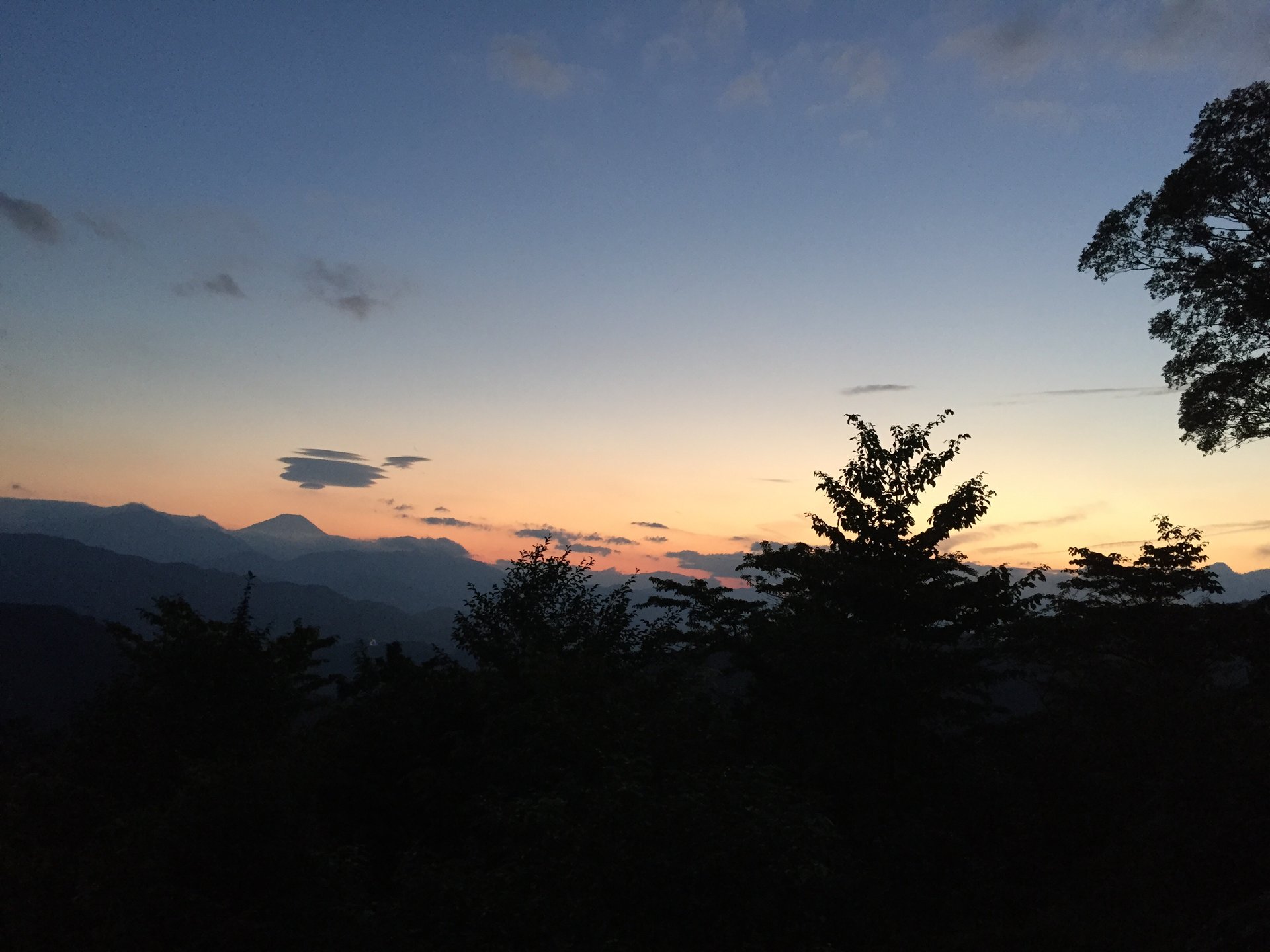 【終電から登る高尾山】ロマンチックでちょっと怖いハイキングデート