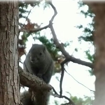 本覚寺