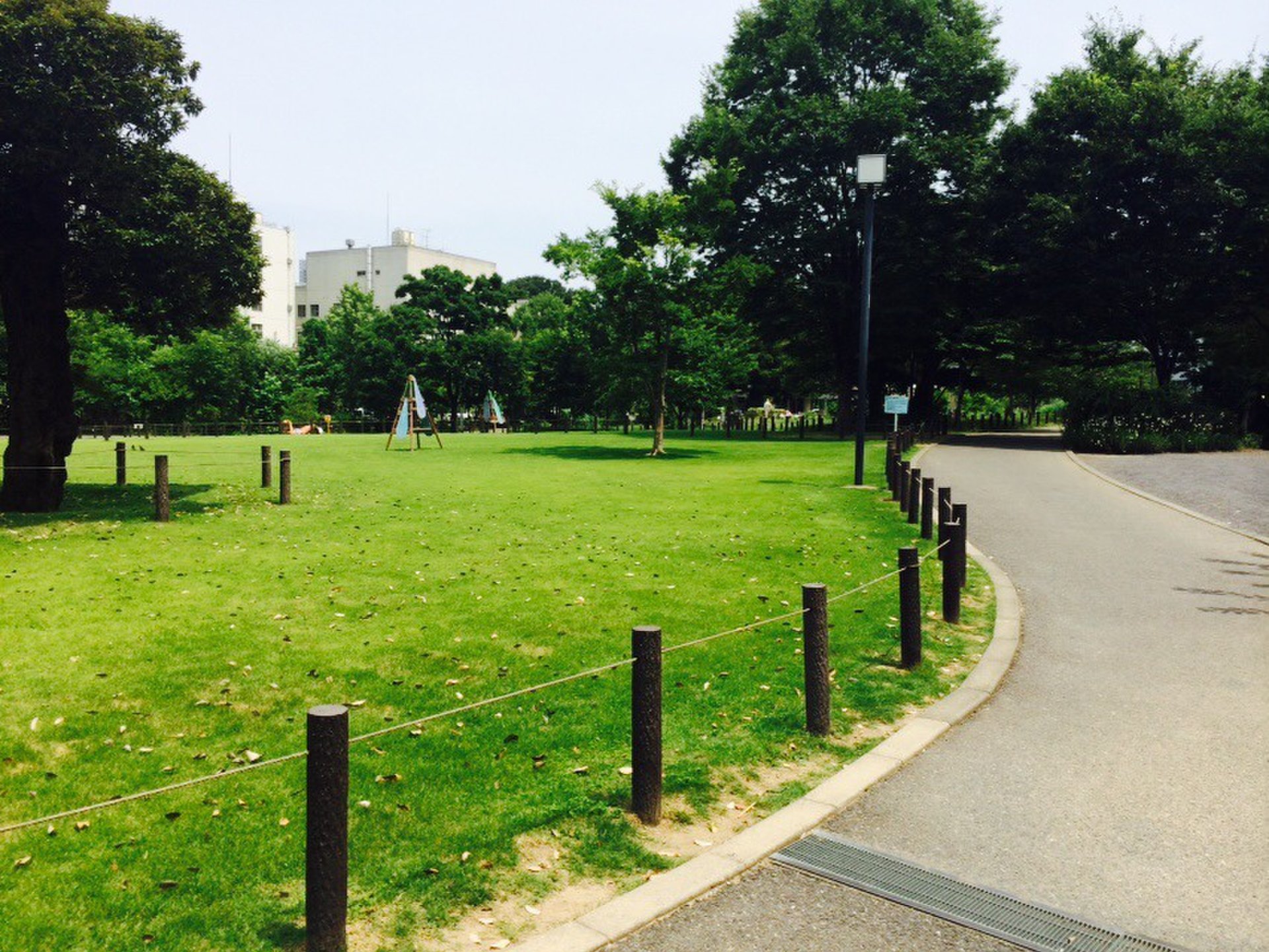 こどもとのおでかけスポット！自然いっぱいでスポーツもできちゃう『中目黒公園』がおすすめ！