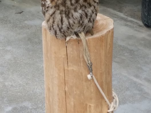 掛川花鳥園