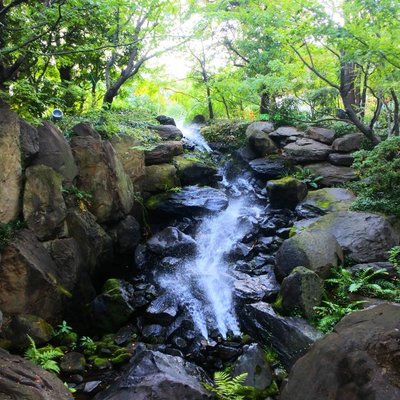 新・里山