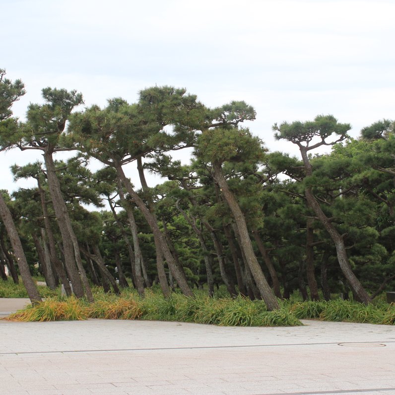 県立城ケ島公園