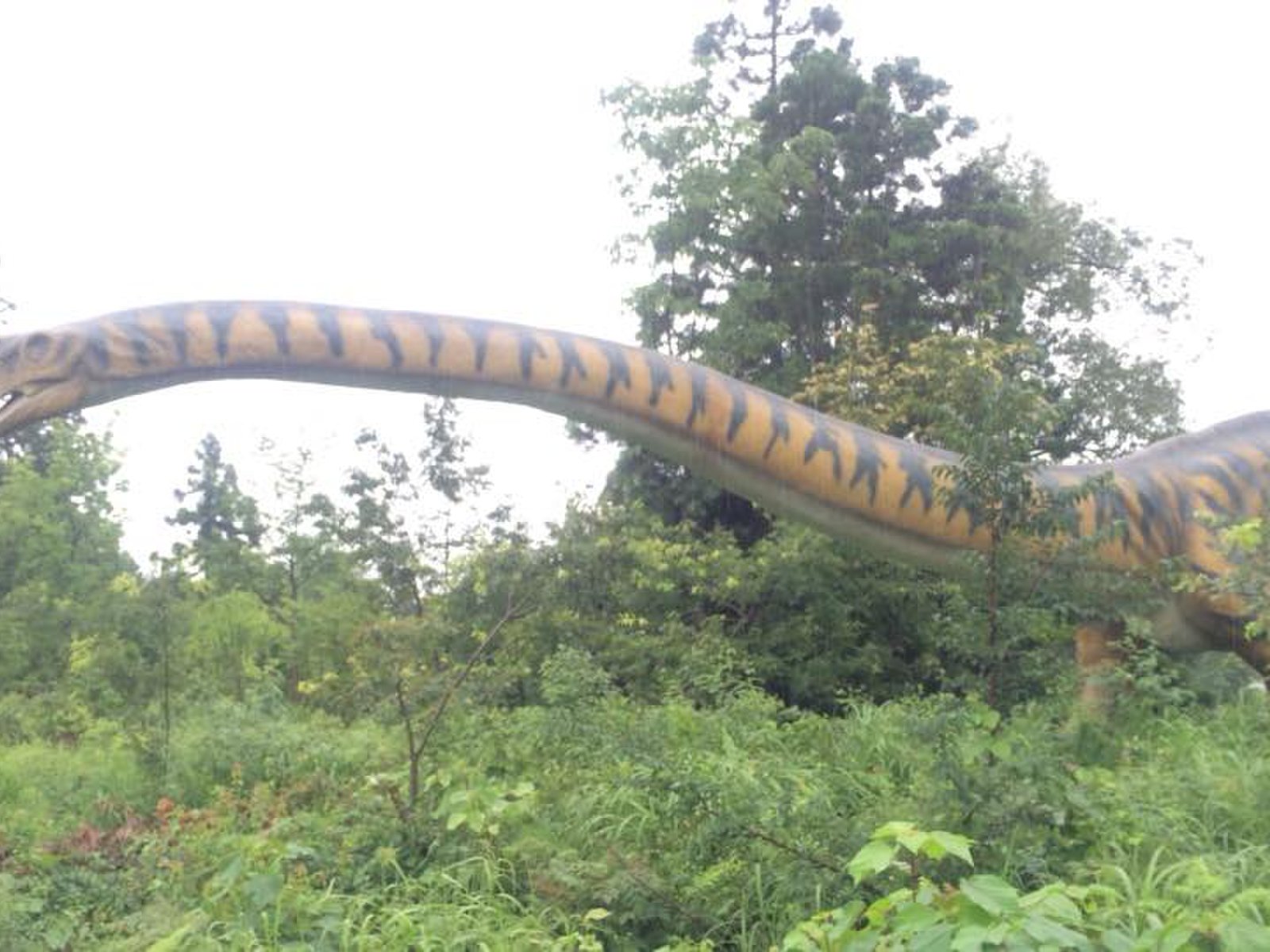 福井県立恐竜博物館