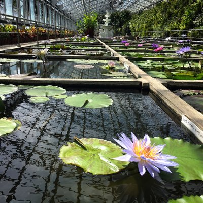 熱川バナナワニ園