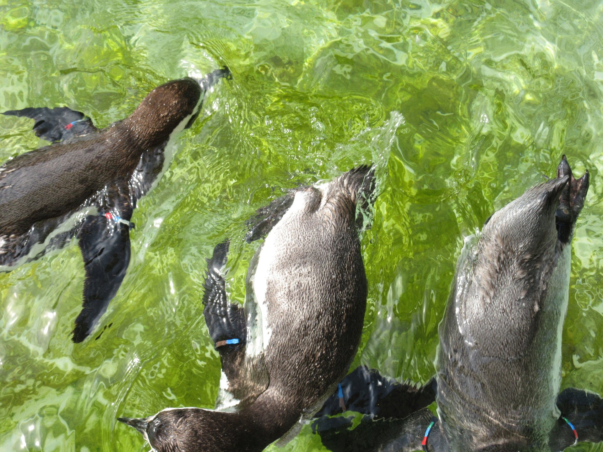 日本海側最大の水族館・マリンピア日本海（新潟）を女子目線で徹底レポ！デートにおすすめ