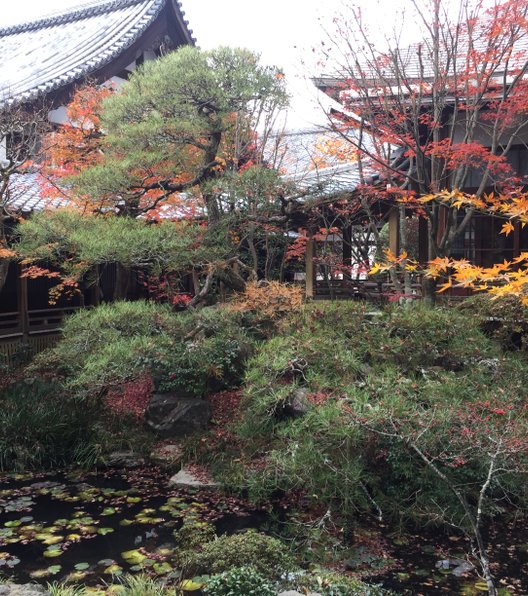 永観堂(禅林寺)