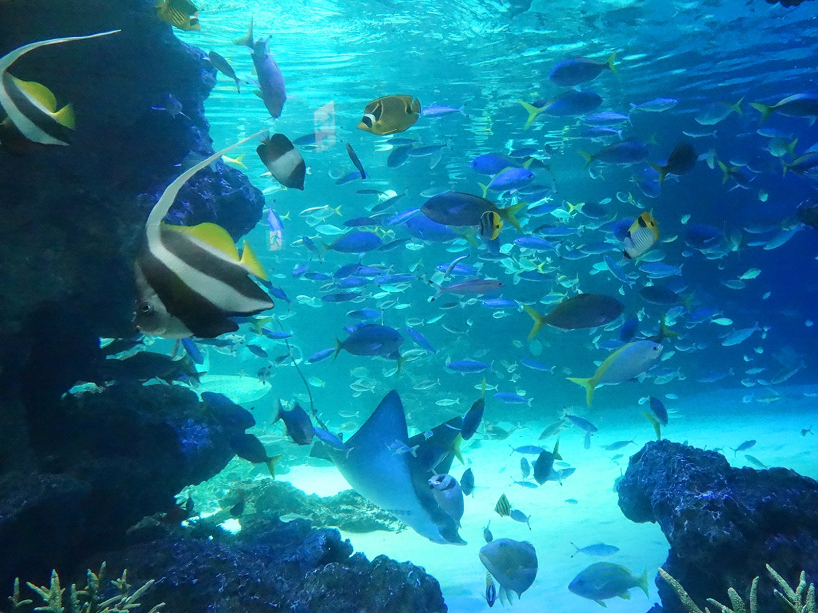 サンシャイン水族館