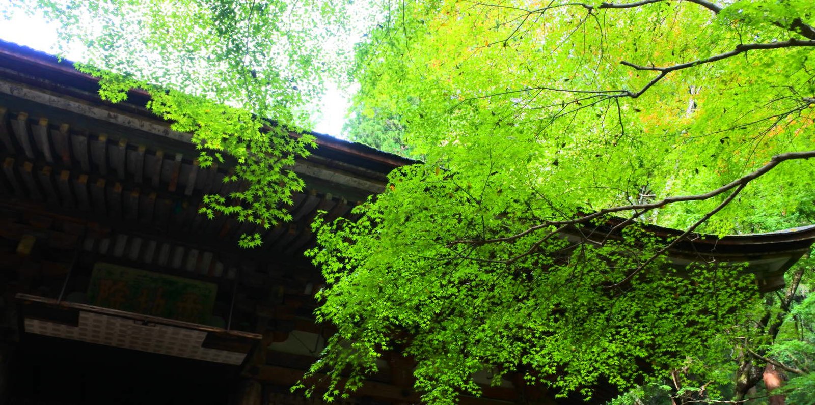 室生寺