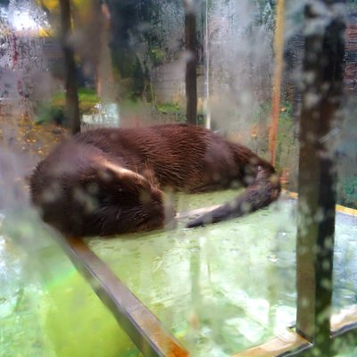 東京都恩賜上野動物園