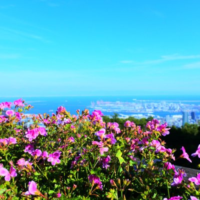 神戸布引ハーブ園