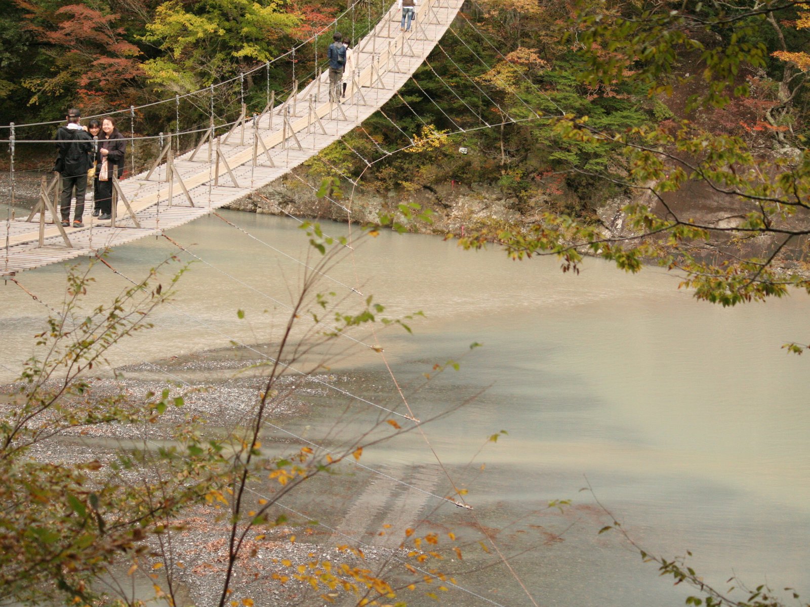 夢の吊り橋