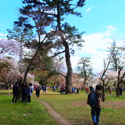 京都御苑